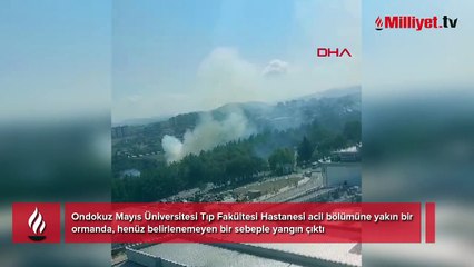 Samsun'da Tıp Fakültesi Hastanesi'ne yakın ormanlık alanda yangın çıktı