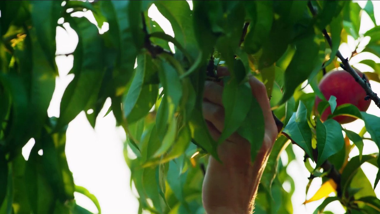 Held Hostage In My House Trailer OV