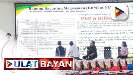 Paglulunsad ng BBM Rice sa Nueva Ecija, naging matagumpay