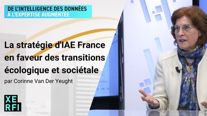 La stratégie d'IAE France en faveur des transitions écologique et sociétale [Corinne Van Der Yeught]