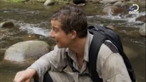 Bear Grylls in Borneo Jungle - Man vs Wild | Discovery | Bear Grylls