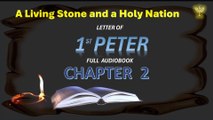 Holy Bible Audio 1st Peter   Full Contemporary English  1 to 5