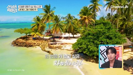 안정환의 파격 변신?! 일주일 만에 포기한 정환의 레게머리 썰ㅋㅋㅋ