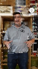 Ils ont tous attrapé la chaude-pisse ?