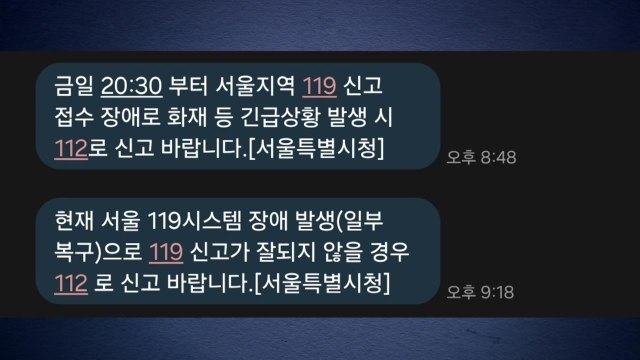 서울 일부서 119신고 접수 장애...45분 만에 복구 / YTN
