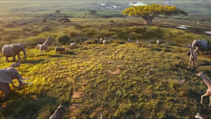 Mufasa The Lion King Telugu Trailer