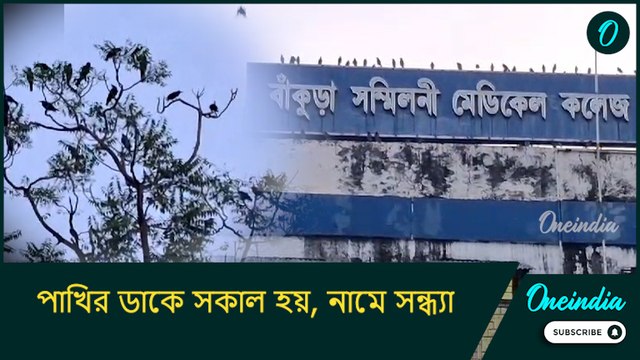 পাখির ডাকে সকাল হয়, নামে সন্ধ্যা, বাঁকুড়ার সম্মিলনী মেডিক্যাল কলেজ যেন এক অন্য পৃথিবীর ঠিকানা