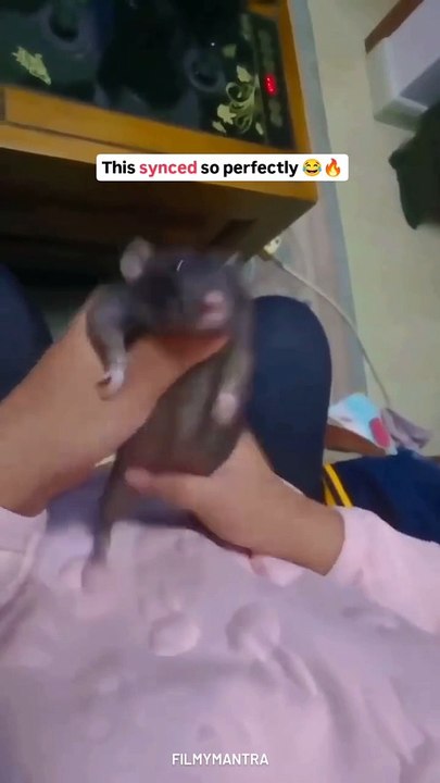 Ins_1145721771