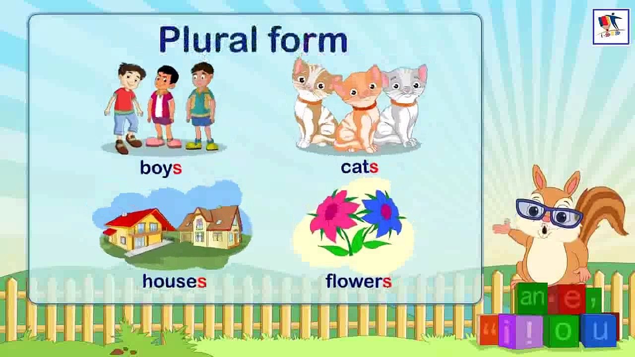 Singular And Plural