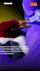 Vuelos solidarios veterinarios