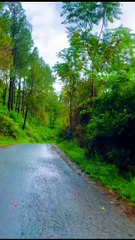 Serenity Unplugged at Sajikot: Nature's Hidden Masterpiece.