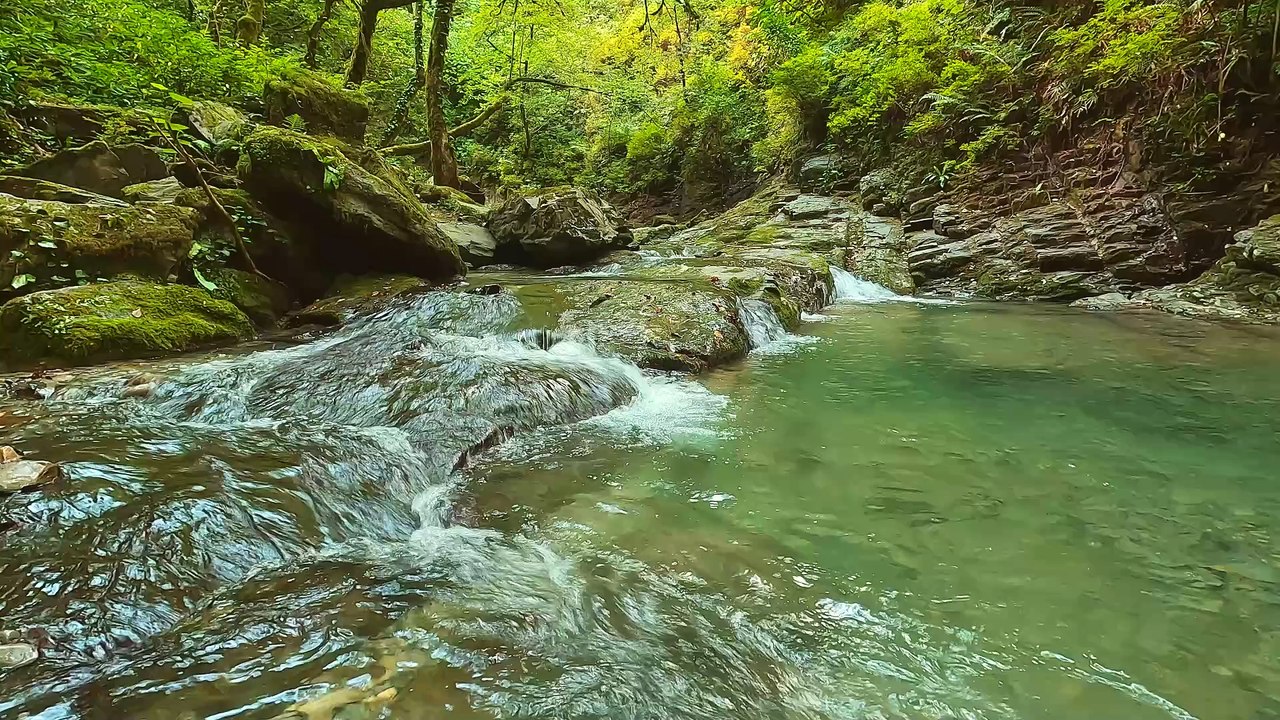 Tranquil Lake Serenity: Peaceful Reflections in Nature