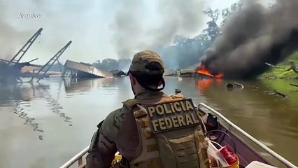 Alemanha pede que UE adie sanções às importações brasileiras de terras desmatadas