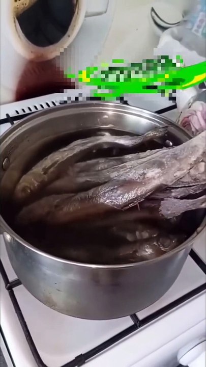 Накорми