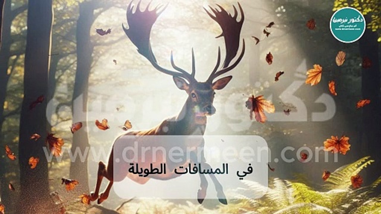 أسرع 5 حيوانات في العالم #أسرع_الحيوانات