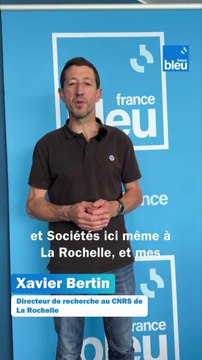 Conférence des Nations Unies sur l'Océan 2025 : le message de Xavier Bertin, directeur de recherche au CNRS de La Rochelle