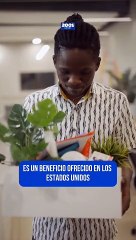 Descubre cómo cobrar los beneficios de desempleo siendo trabajador independiente