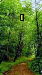 Islamic information and recitation of Quraan