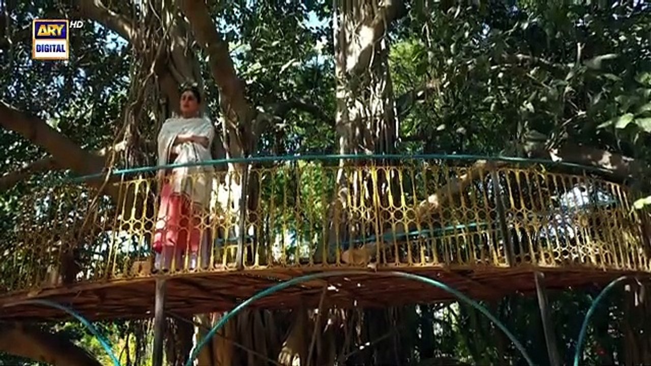 Noor Jahan 2nd Last Episode 13 September 2024 ARY Digitaldrama