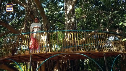 Noor Jahan 2nd Last Episode _ 13 September 2024 _ ARY Digital