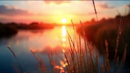 Morning breeze nature beauty music