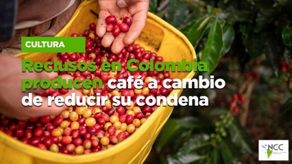 Reclusos en Colombia producen café a cambio de reducir su condena
