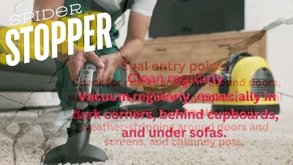 KEEP SPIDERS OUT THIS AUTUMN