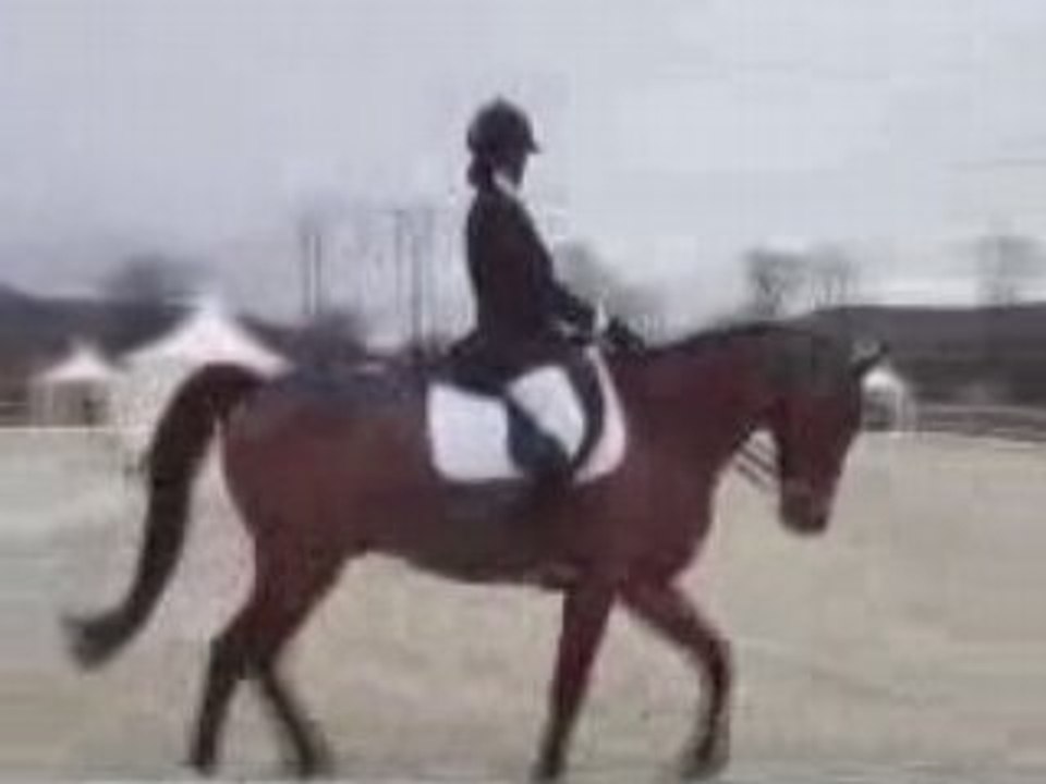 Axelle 20.4.2008 lower quality