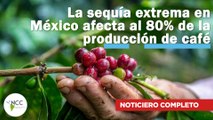 La sequía extrema en México afecta al 80% de la producción de café | 691 |16/09/24 - 22/09/24