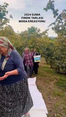 2024 fındık defilesinden göz kamaştıran görüntüler 