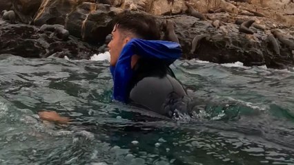 Boy swims side-by-side with a playful sea lion in clear waters of Peru