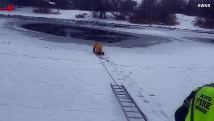 You Have to See This Amazing Rescue of a Dog That Fell Through a Frozen Pond