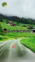 quran_journey3_2024-06-30-11-45-43_1719729943056
