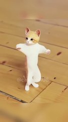cat+dance+_+#shorts+#cat+#viral+#trending