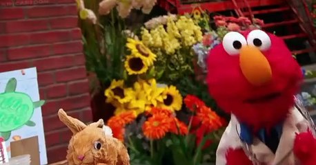 Sesame Street  Sesame Street S49 E001 When You’re a Vet