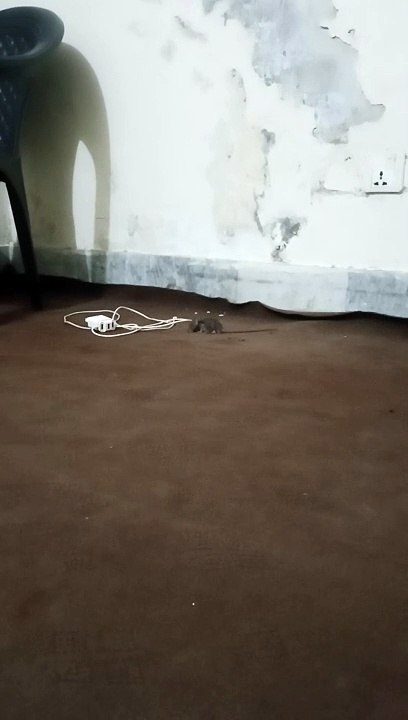 VID_20240701_153736