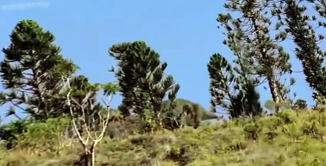 Walking with Dinosaurs E001 - New Blood