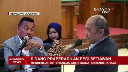 Praperadilan Pegi, Ahli Pidana: Seharusnya Tidak Bisa Langsung Menjadi Tersangka