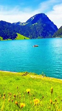 Beautiful Recitation Of Quran |Quran |Quran Majeed |Tilawat E Quran #Quran #quran #Beautiful Recitation #Tilawat #beautiful Voice