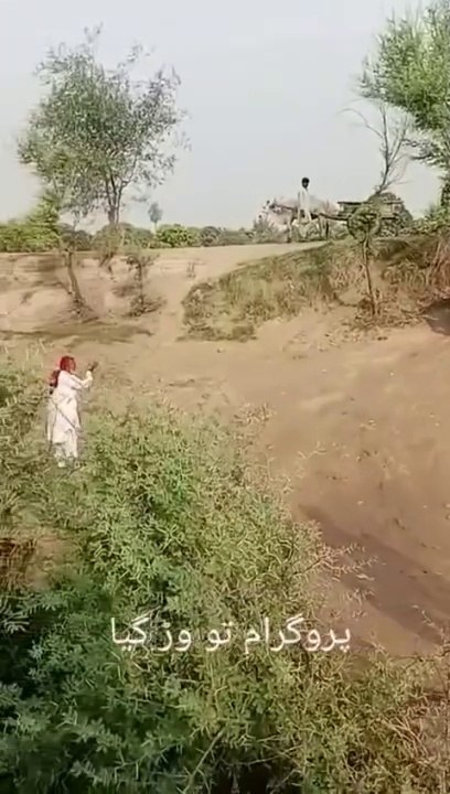 Funny video clip