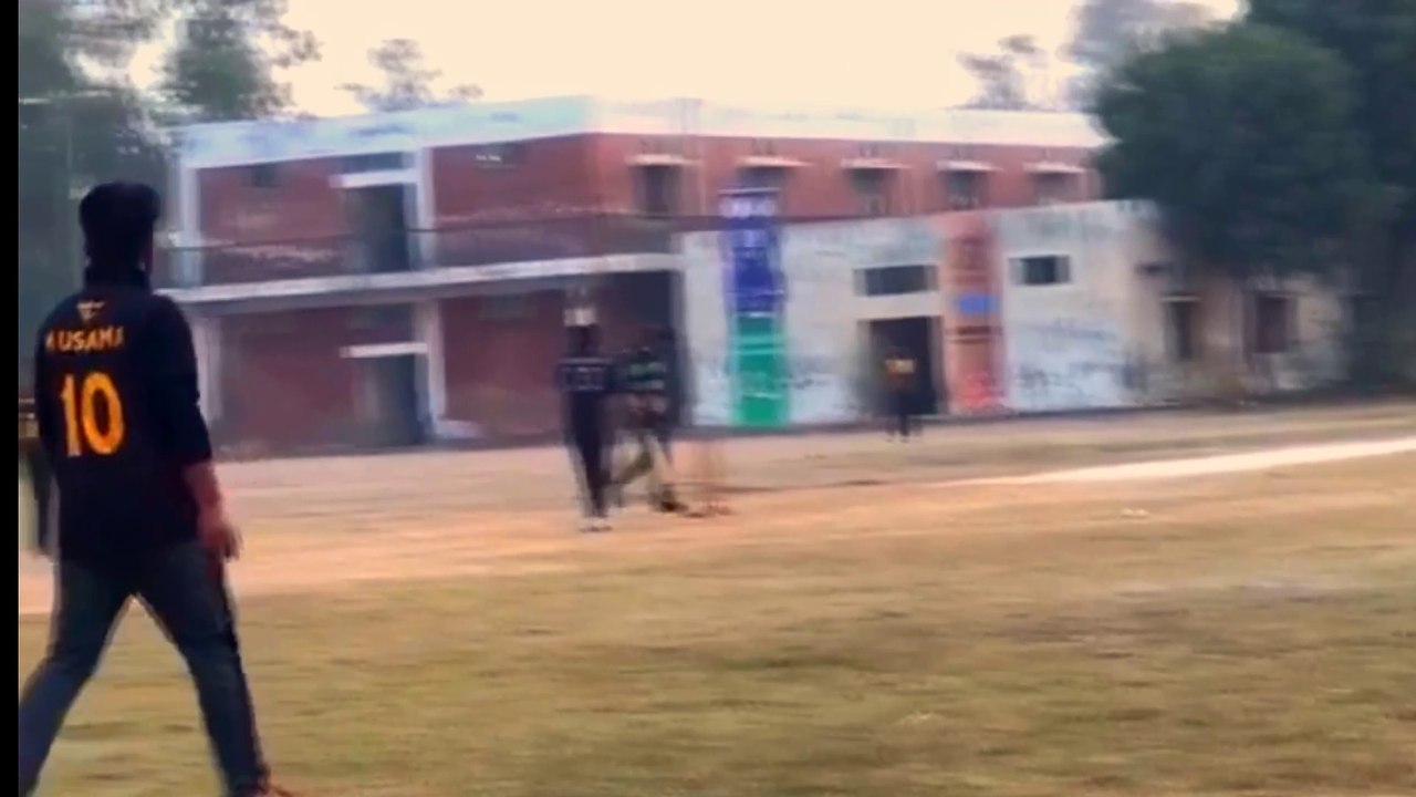 Cricket 