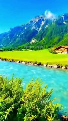 Tilawa e Quran | Beautiful Recitation Of Quran |Tilawat |Quran