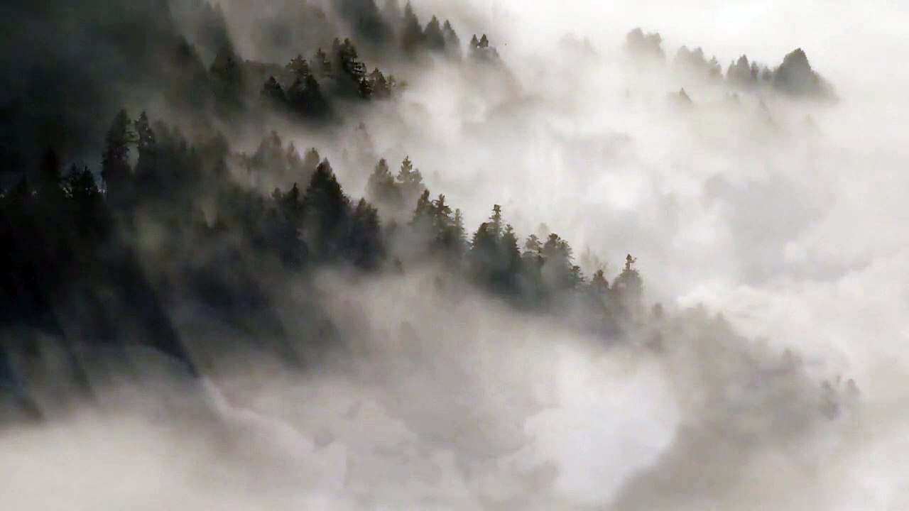 1 Hour Peaceful Meditation Music l Reduce Stress & Anxiety l Sleep Music l Inner Healing Music