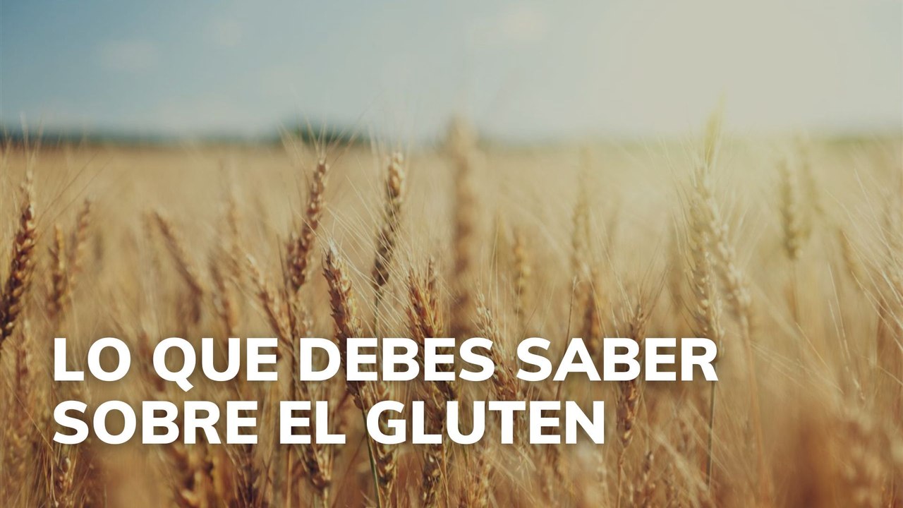 Lo que debes saber sobre el gluten