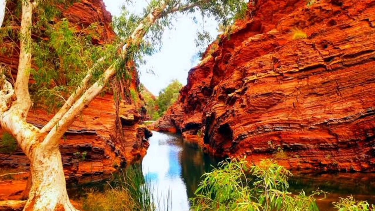Australia Uncovered