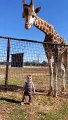Cute Giraffe Gives Baby Smooches!