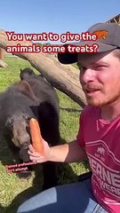 Help me feed some crazy animals! #animals #shorts #coolanimals