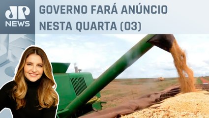 O que esperar do Plano Safra 24/25? Kellen Severo analisa