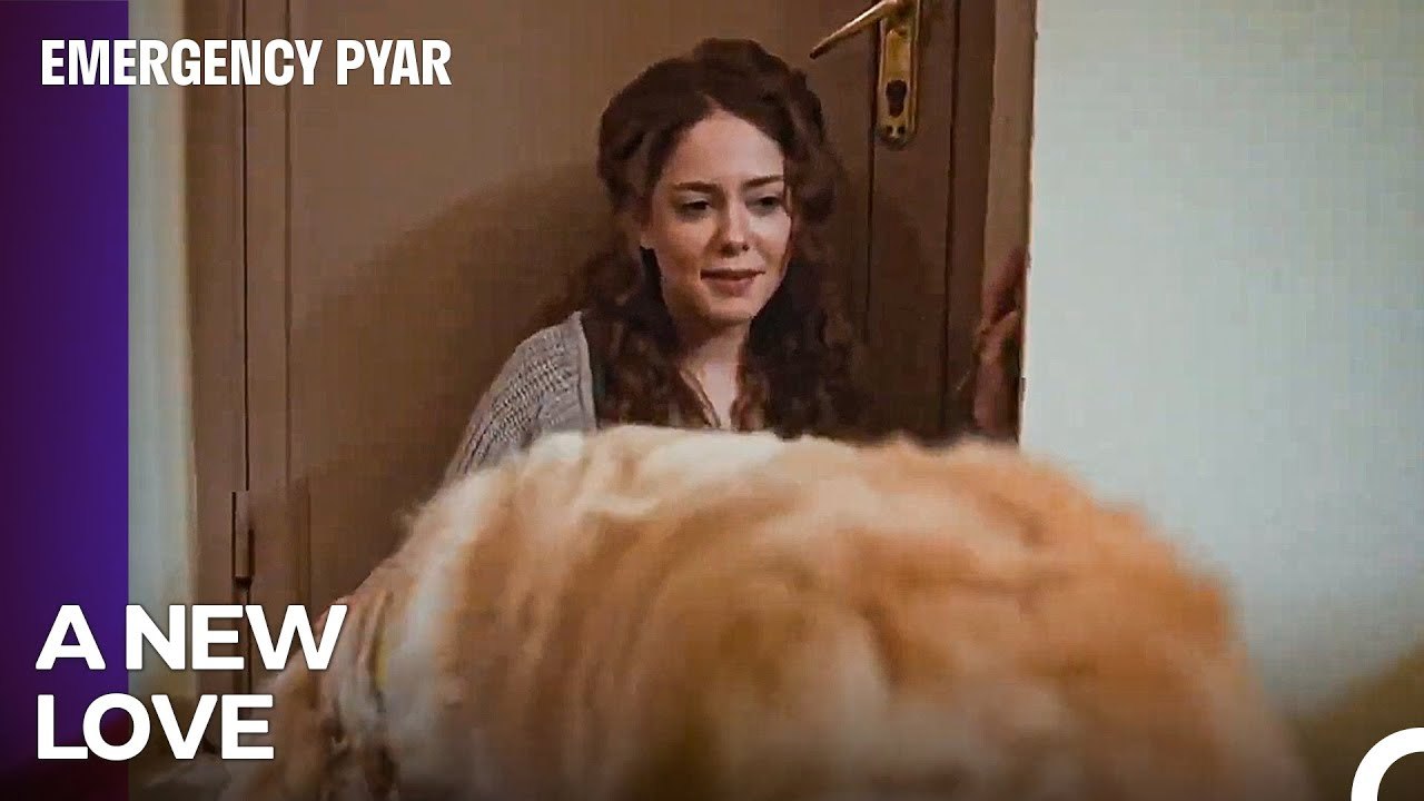 The Sweetest Dinner with My Lover - Emergency Pyar