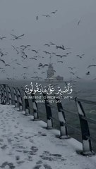 حالة القرآن الكريم تلامس القلب __ القرآن الكريم ترجمة الأردية حالة واتس اب #tiktok #quran #love